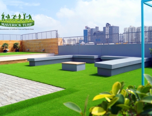 Rooftop Landscape